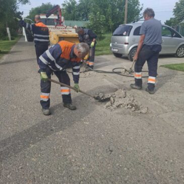 Проширење окретнице у Саве Ковачевића у Степановићеву, радови у Футогу, Бегечу, Ветернику и Сремској Каменици